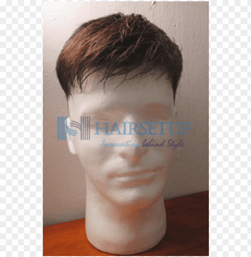 male wig stand storage box - lace wi PNG image with transparent background  | TOPpng