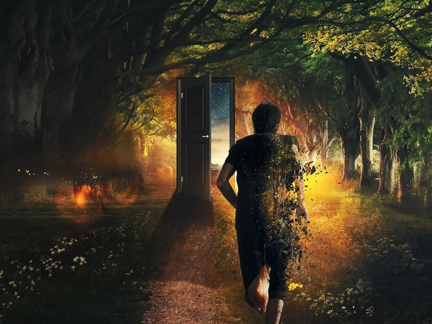 man, door, run, time, imagination, forest, art
