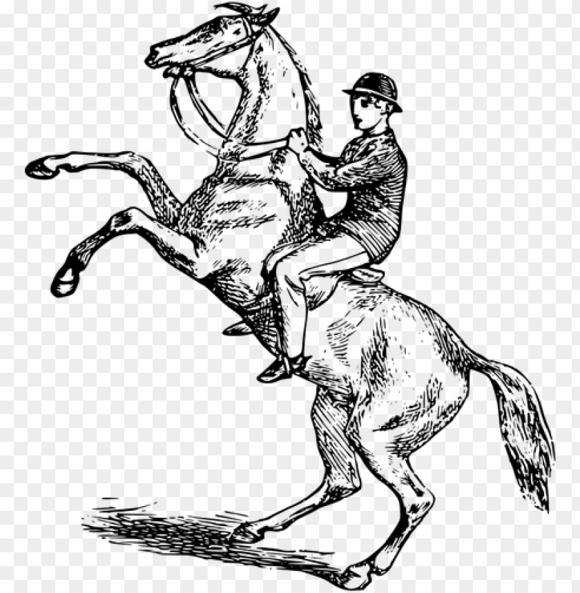 man riding a rearing horse vector image public domain - horse riding clip art PNG image with transparent background@toppng.com