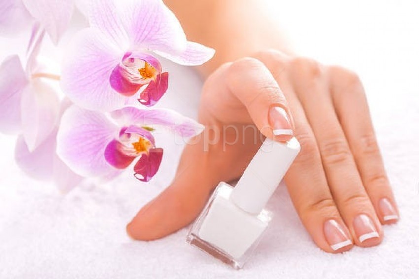 free PNG manicure with orchids background best stock photos PNG images transparent
