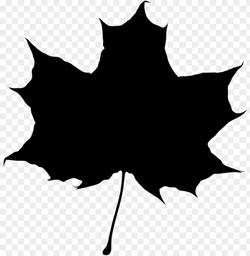 miscellaneous, silhouettes, maple leaf silhouette, 