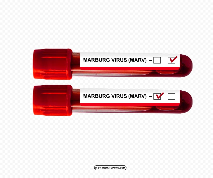 marburg virus analysis test png,marburg virus,virus,deadly,pathogen,corona,virus png