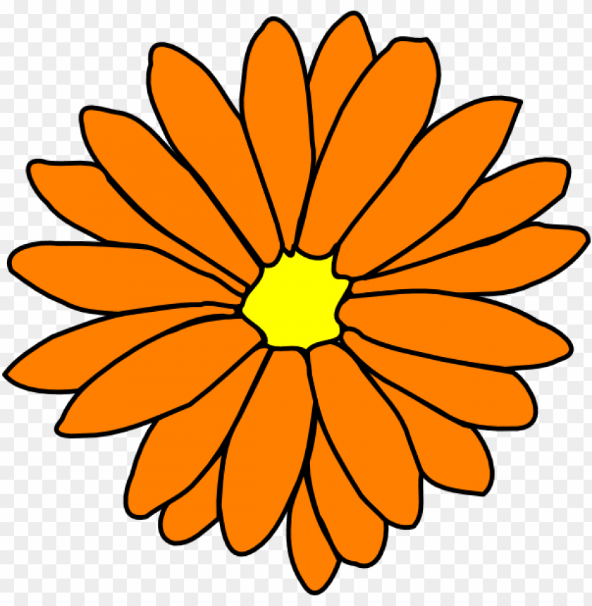 marigold flower clipart vector