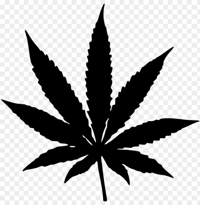 marijuana leaf PNG image with transparent background@toppng.com
