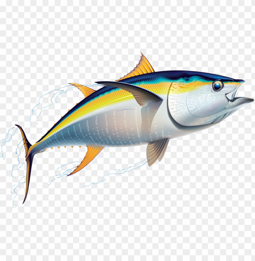 marine fish clipart australian fish tuna clip art PNG transparent with Clear Background ID 200990