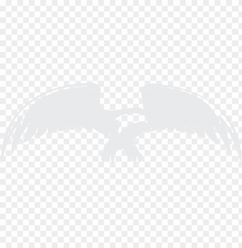 symbol, eagle, sign, wing, illustration, bird, information
