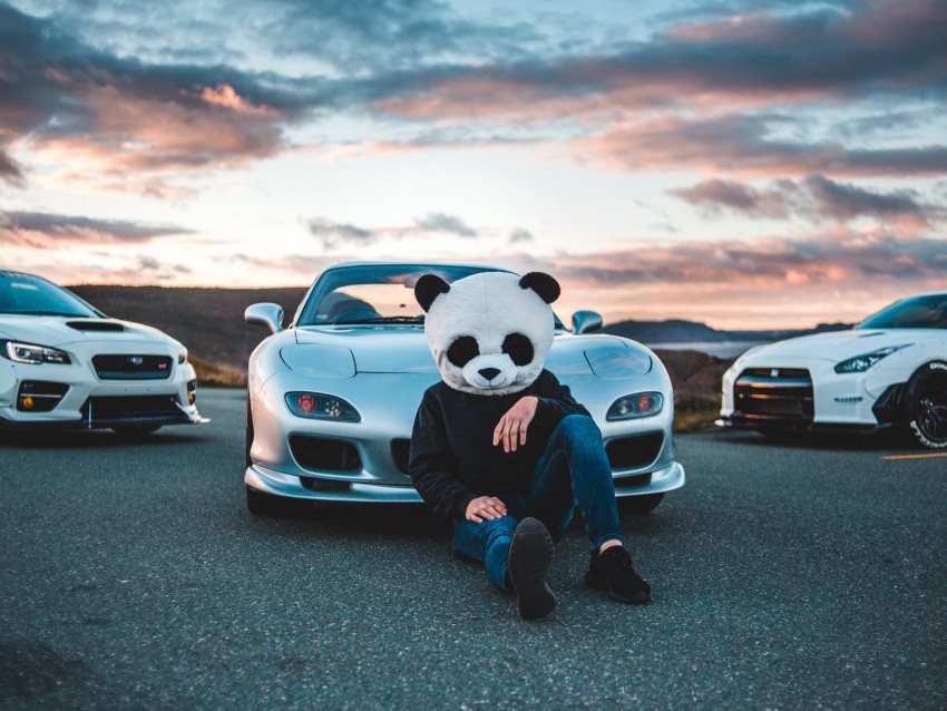 mask, panda, mazda, cars, racing