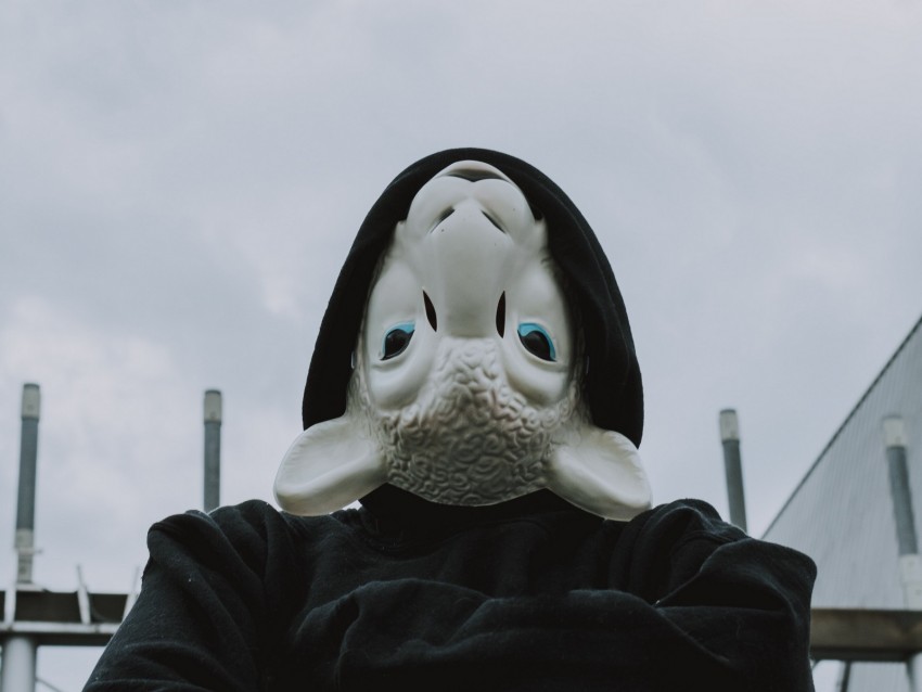 mask, sheep, hood, hoodie, black