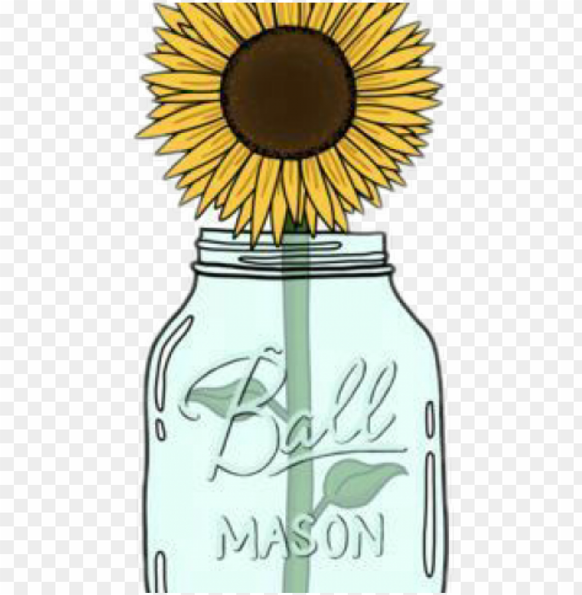 Mason Jar Clipart Transparent Tumblr Sunflower Sticker Png Image