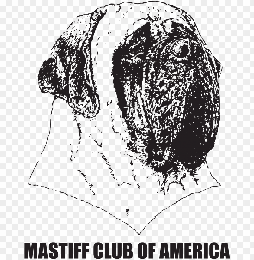 mastiff club of america - mastiff club of america (mcoa) mastiff club of america PNG image with transparent background@toppng.com