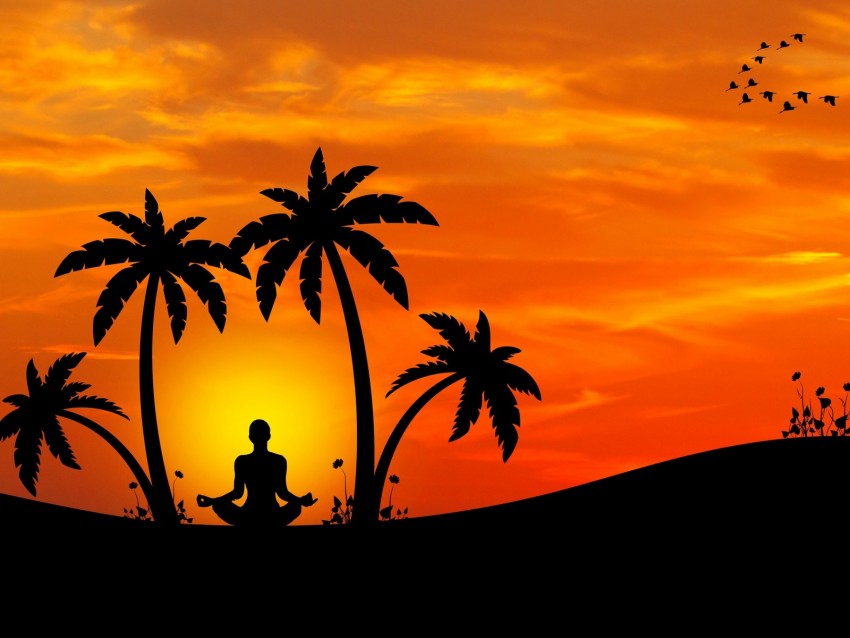 meditation, yoga, silhouette, palm trees, harmony