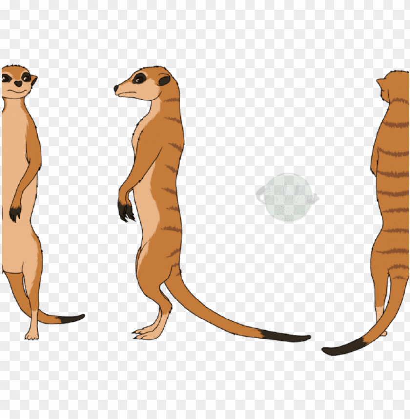Featured image of post How To Draw A Meerkat Easy Draw a u shape to finish off the tail