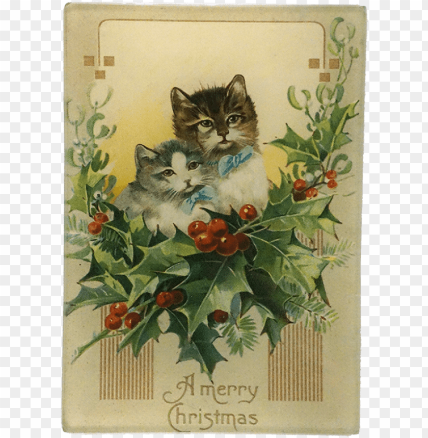 christmas, kitten, christmas tree, cat, xmas, animal, christmas background
