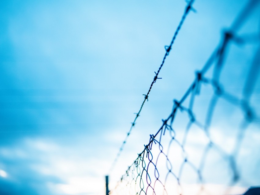 mesh, barbed wire, fence, fencing, barbed