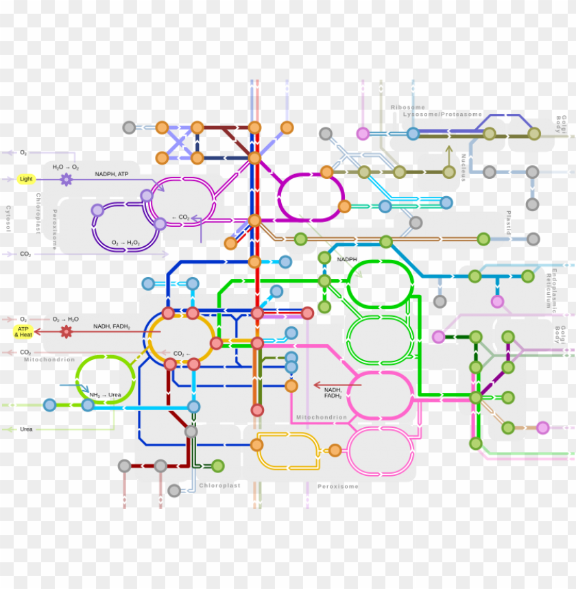 world map, train, pathway, subway, instrument, urban, way
