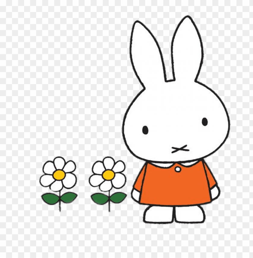 at the movies, cartoons, miffy, miffy with flowers, 