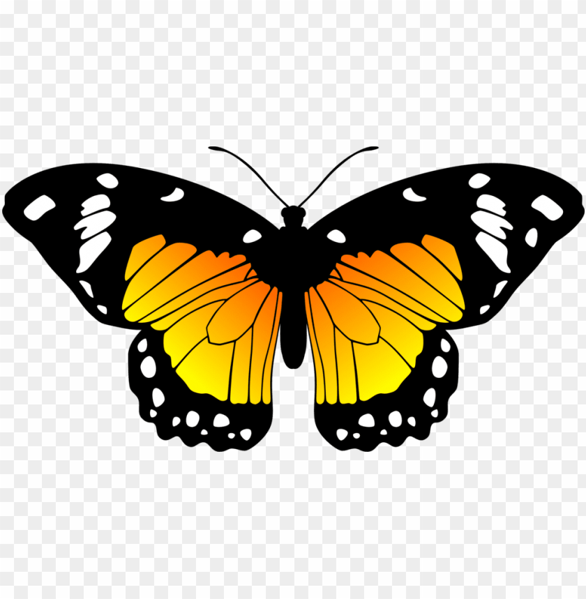 millions of hd  unlimitedabsolutely free - miraculous ladybug butterfly oc, miraculous ,ميراكولوس , الدعسوقة , القط الاسود