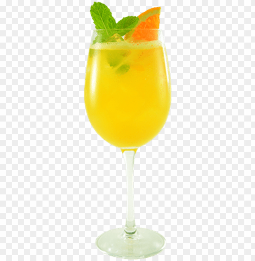 flower, alcohol, drink, lime, yellow, ice, plant