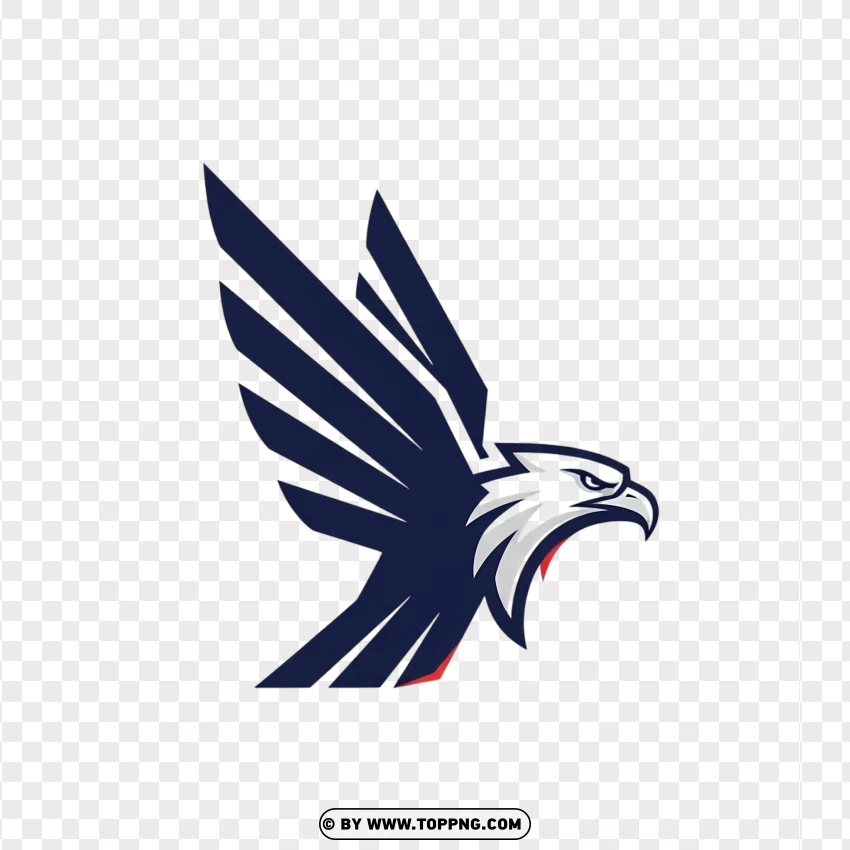 A minimalist flat sports logo of an eagle with sharp, angled wings.