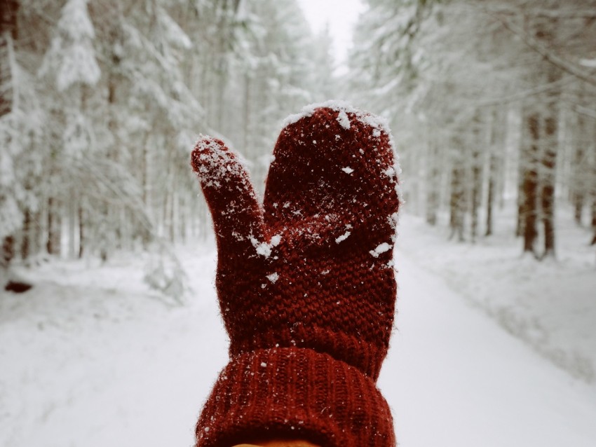 mitten, hand, snow, winter