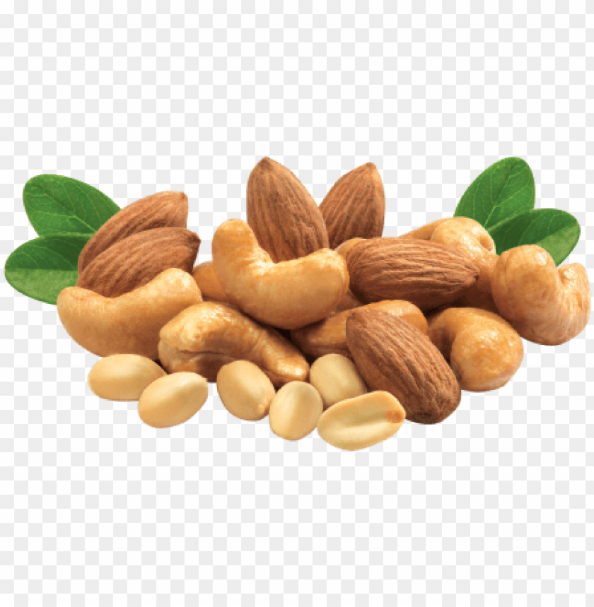 mixed nuts png image transparent download mix dry fruits PNG transparent with Clear Background ID 164792