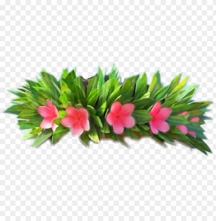 Moana Transparent Flower Moana Flower Crown Png Image With Transparent Background Toppng