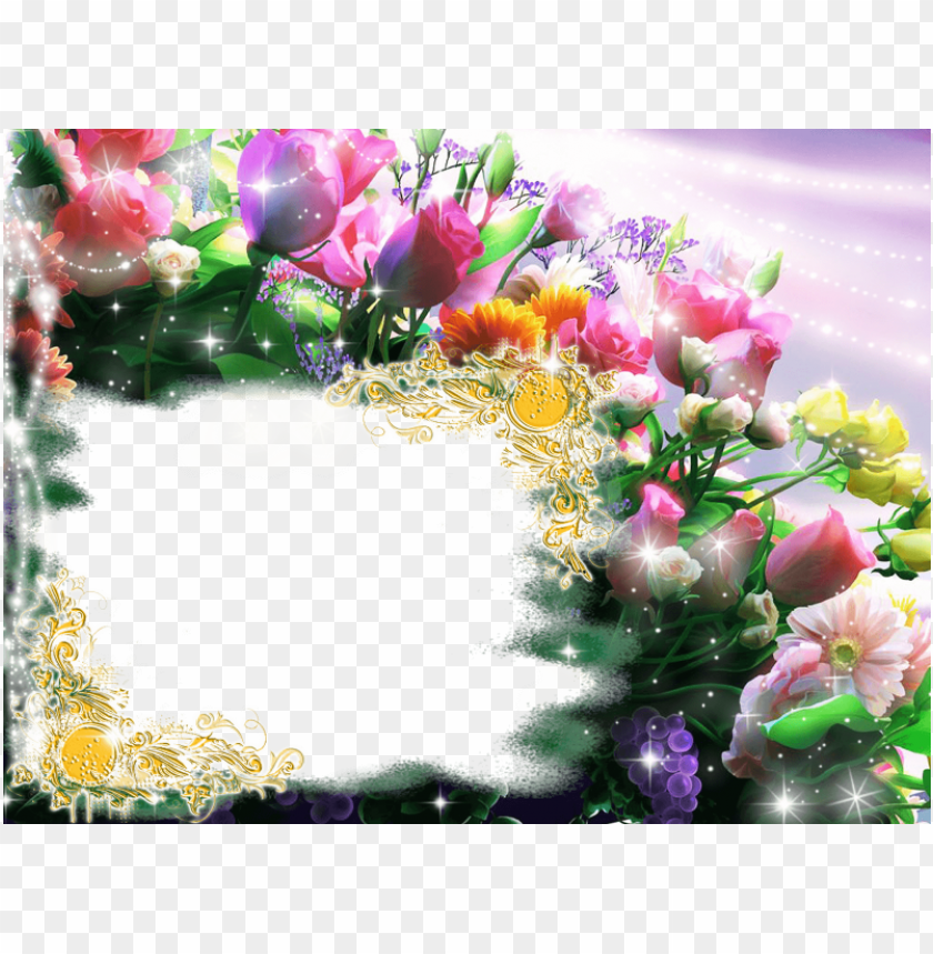 illustration, flower, background, floral, banner, nature, set