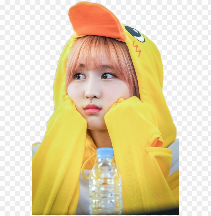 Momo Sticker - Pato Momo Twice PNG Transparent Background