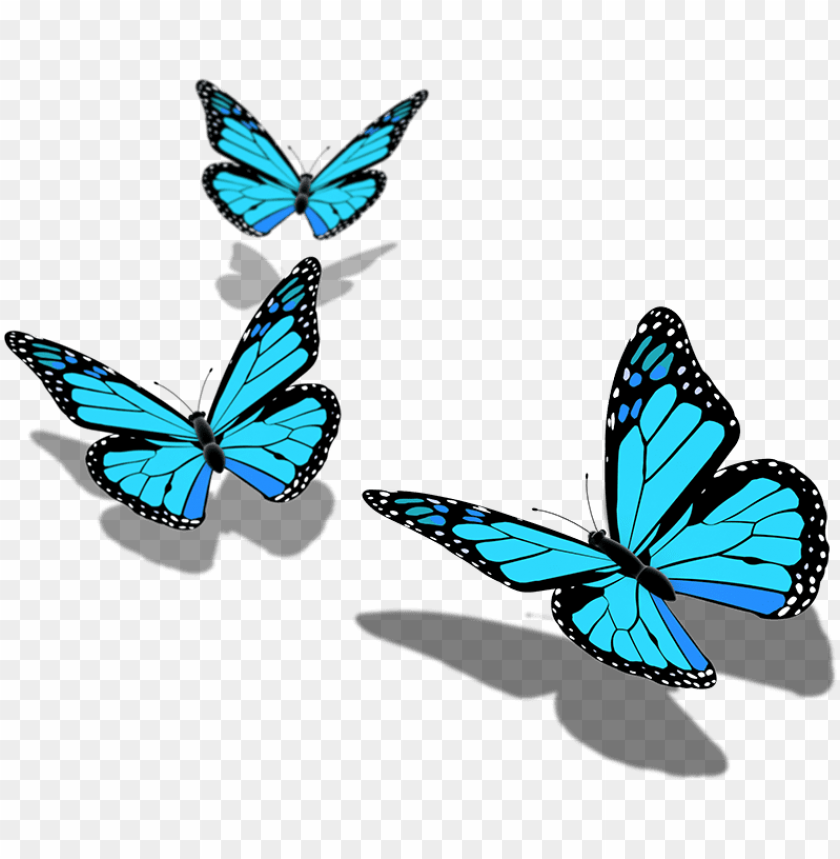 Butterflies PNG Butterflies Transparent Background  FreeIconsPNG
