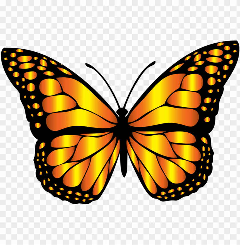 monarch butterfly clipart PNG image with transparent background | TOPpng