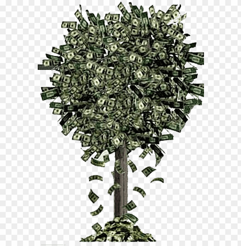 money tree falling money money falling off trees PNG transparent with Clear Background ID 177663