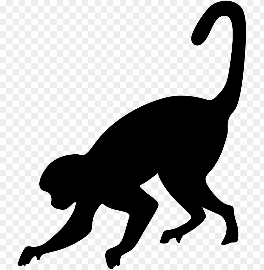 animal, ape, silhouette, monkey silhouette, gorilla, monkey silhouettes, zoo