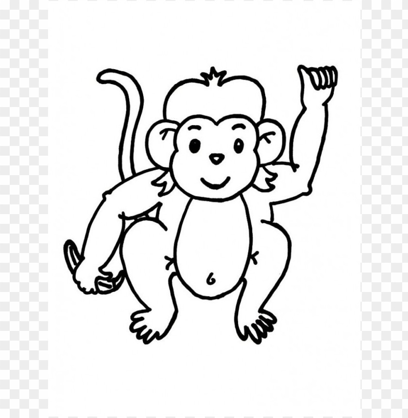 monkey coloring, coloring,monkey,color