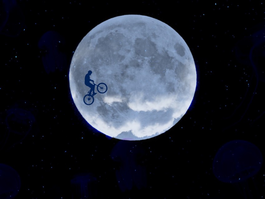 moon, cyclist, starry sky, jellyfish, couple
