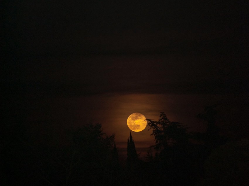 moon, full moon, night, sky, darkness