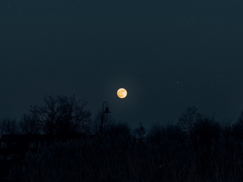 moon, full moon, starry sky, night, darkness, silhouettes