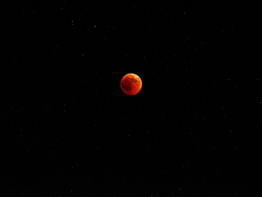 moon, red, full moon, sky, stars, night