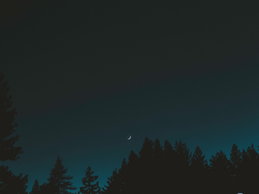 moon, sky, night, trees, crescent