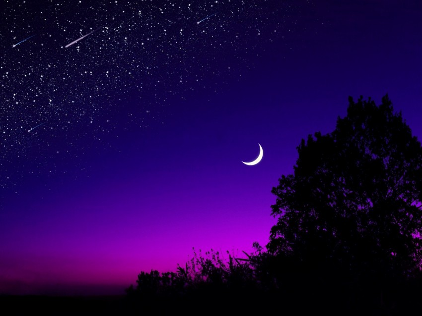 moon, tree, starry sky, night, stars, dark