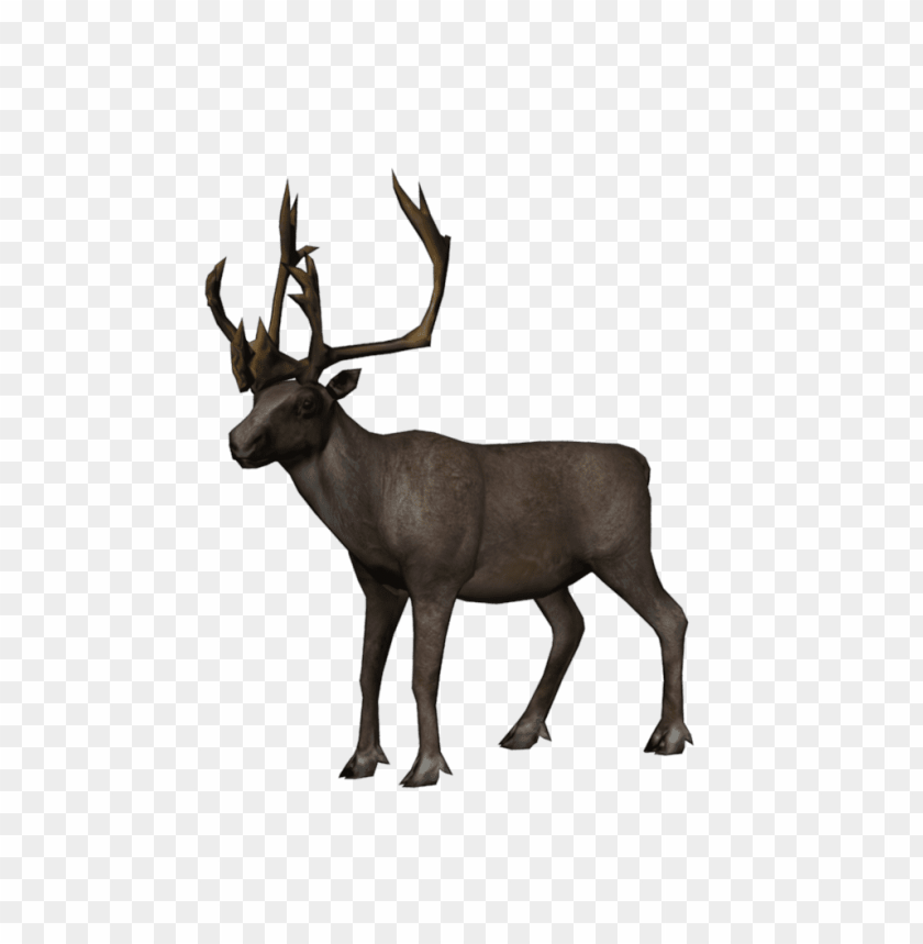 moose png images background - Image ID 37789
