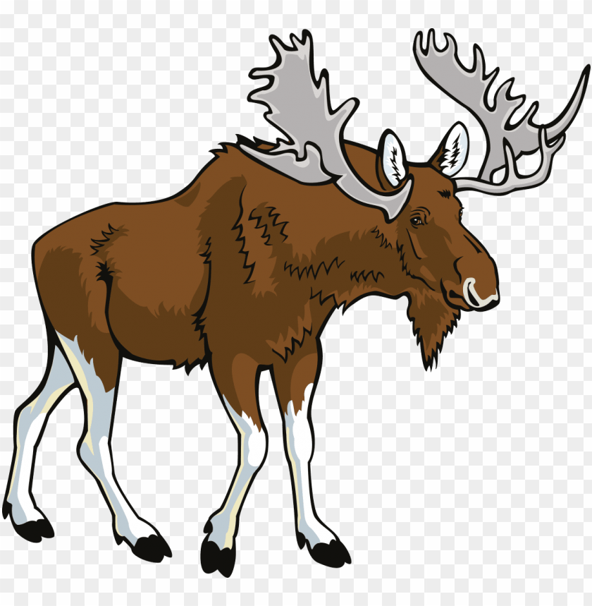moose png images background - Image ID 37791
