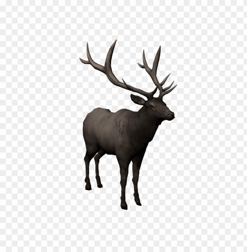 moose png images background - Image ID 37792