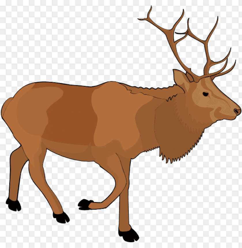 moose png images background - Image ID 37793
