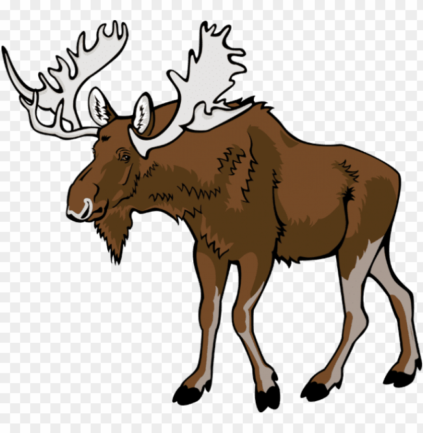 moose png images background - Image ID 37798