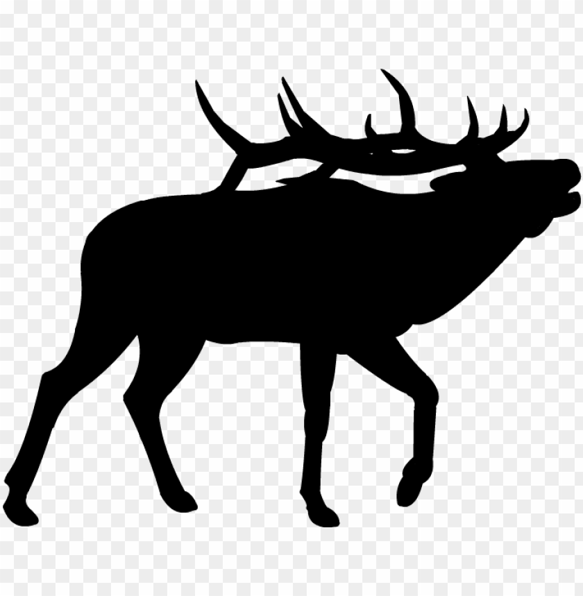 read, illustration, deer head, isolated, holiday, background, animal