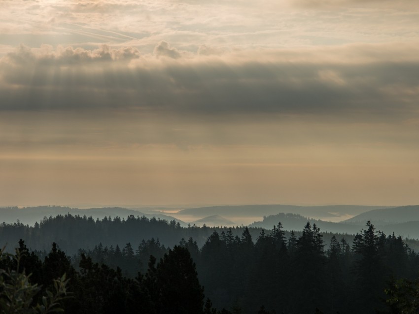 morning, forest, horizon, distance, schwarzwald