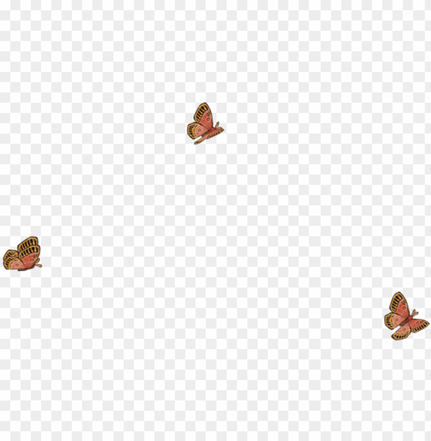 moth wings PNG transparent with Clear Background ID 431537