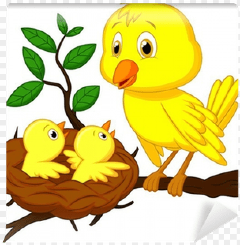 free PNG mother bird and baby bird PNG image with transparent background PNG images transparent