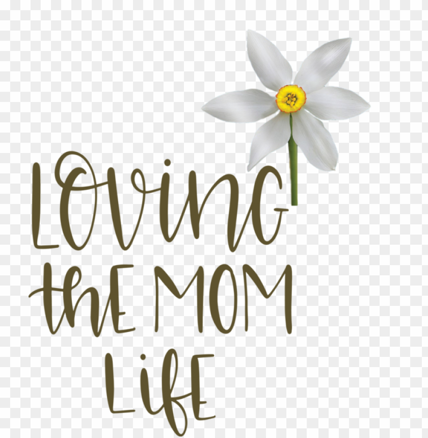Mother's Day Cut Flowers Floral Design Logo For Love You Mom For Mothers Day PNG Image With Transparent Background