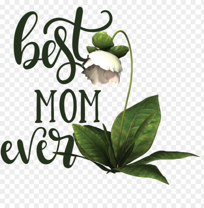 Happy mother day style hand draw Stock Vector Image & Art - Alamy